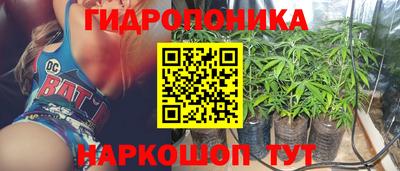 a pvp Будённовск