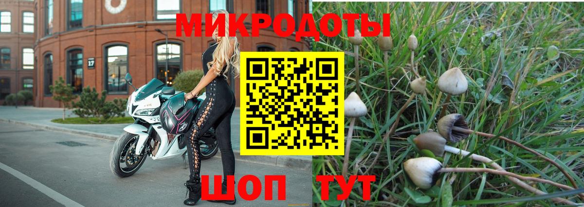 Семёнов  Псилоцибиновые грибы Cubensis  Вход с VPN 