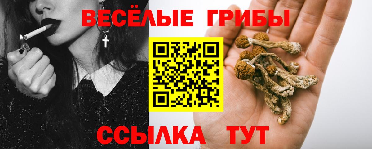 Галлюциногенные грибы Psilocybine cubensis Семёнов